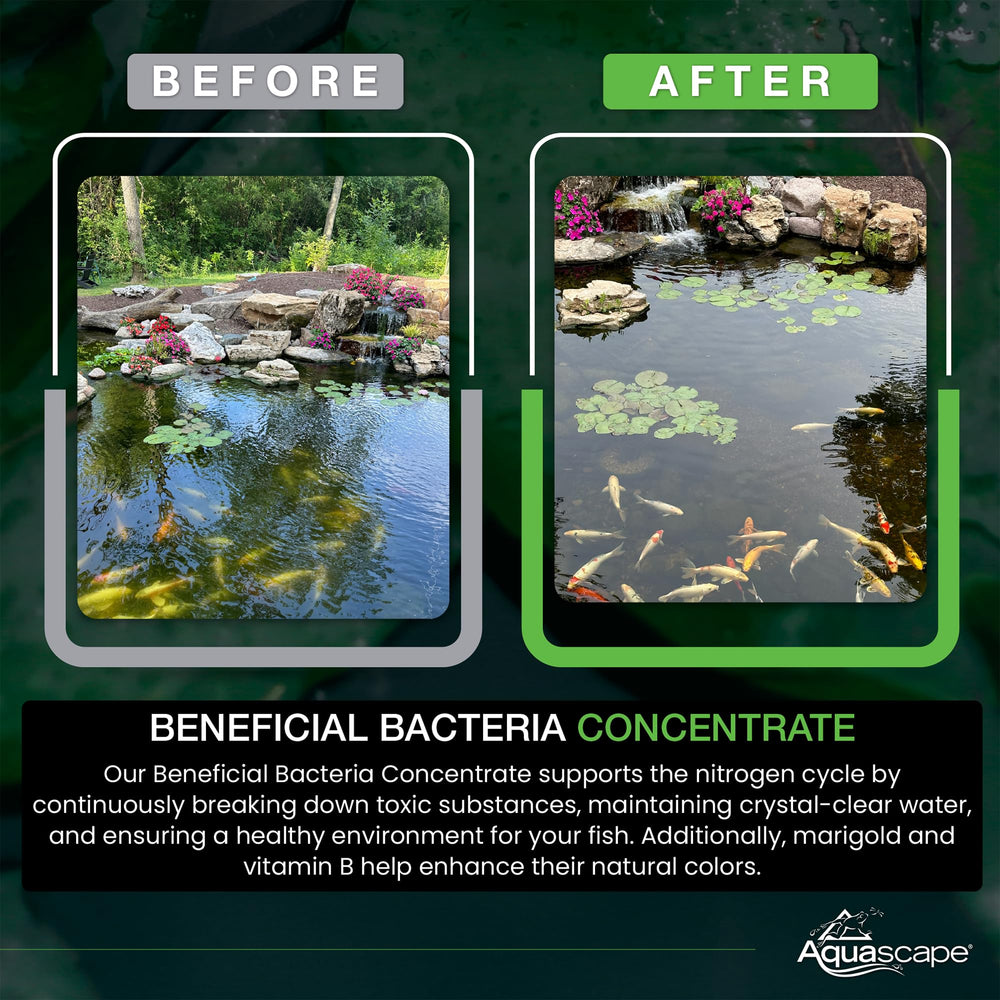 Aquascape Dry Beneficial Bacteria 8.8 oz container back view