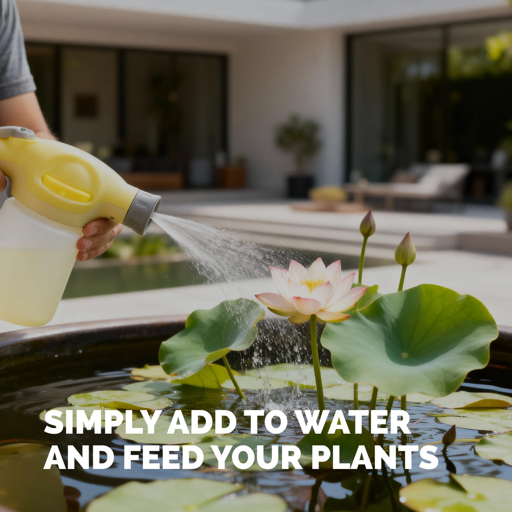 Aquatic plants thriving with TPS NUTRIENTS fertilizer
