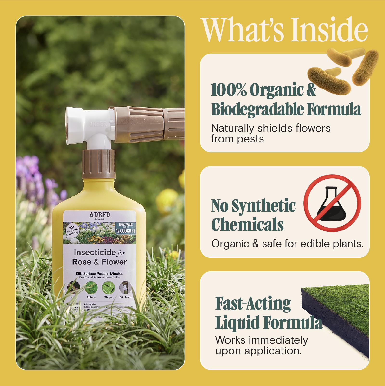 ARBER Organic Insecticide sprayed on a rose bush