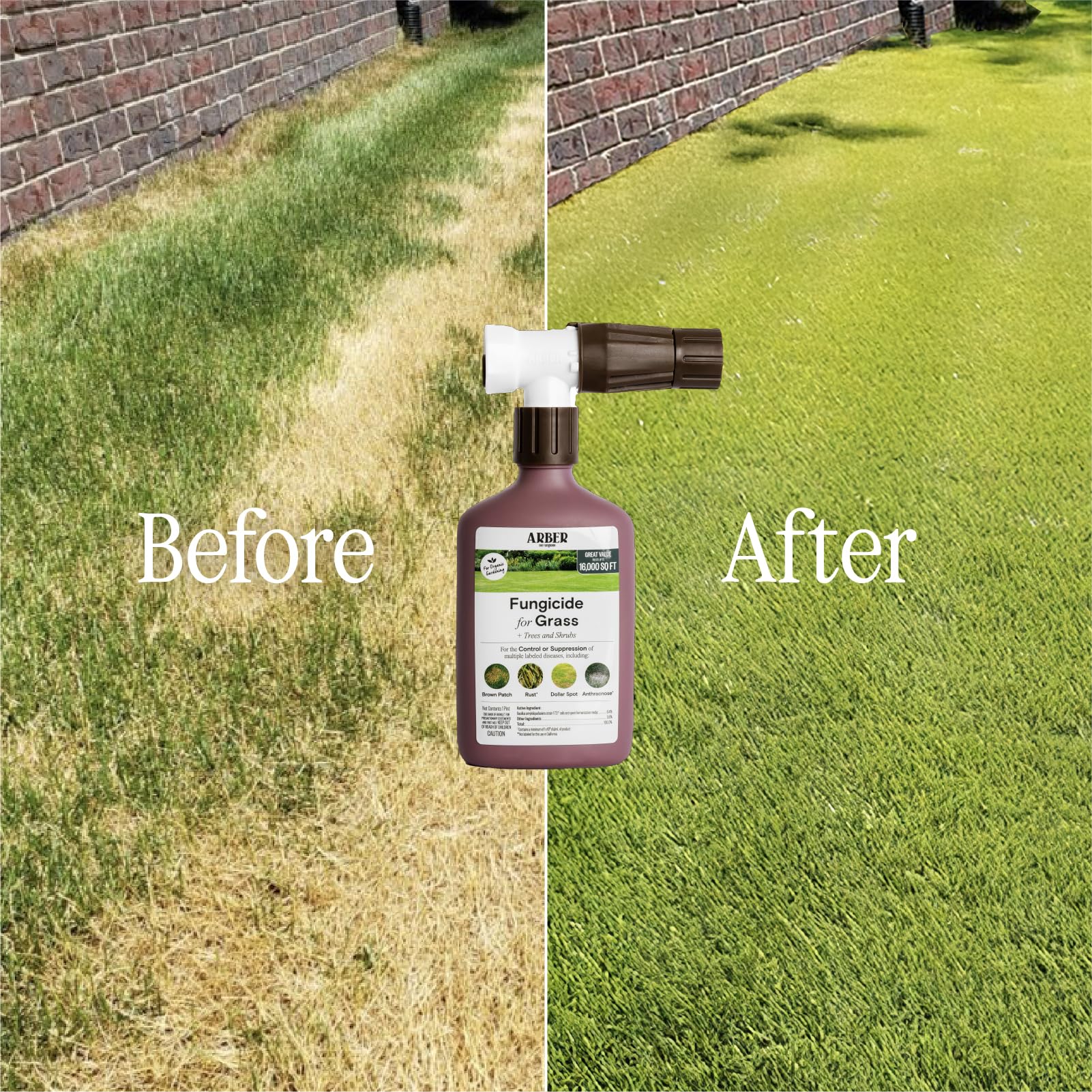ARBER Organic Lawn Fungicide RTS in use on a lawn