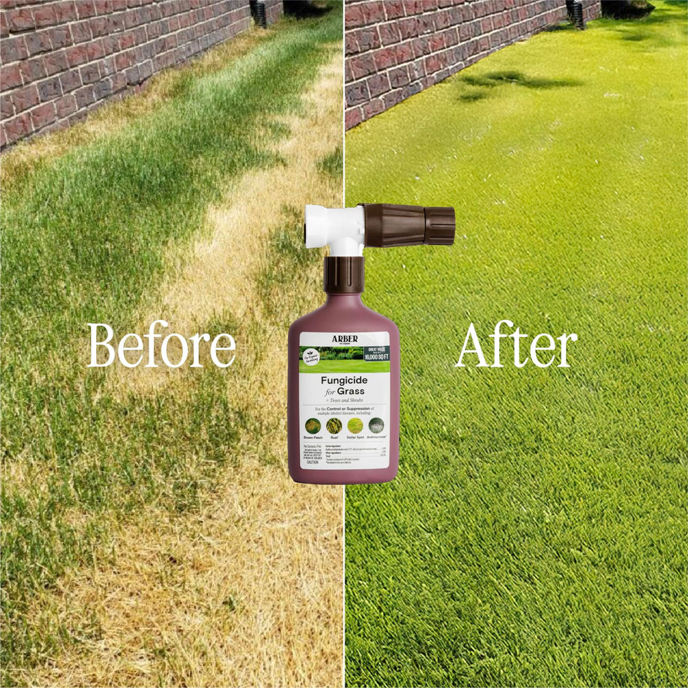 ARBER Organic Lawn Fungicide RTS in use on a lawn