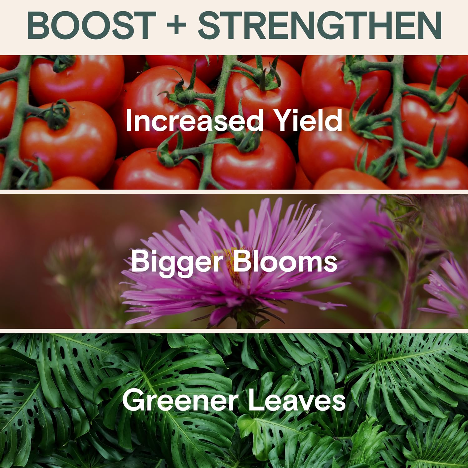ARBER Organic Plant Food Liquid Fertilizer in a garden setting