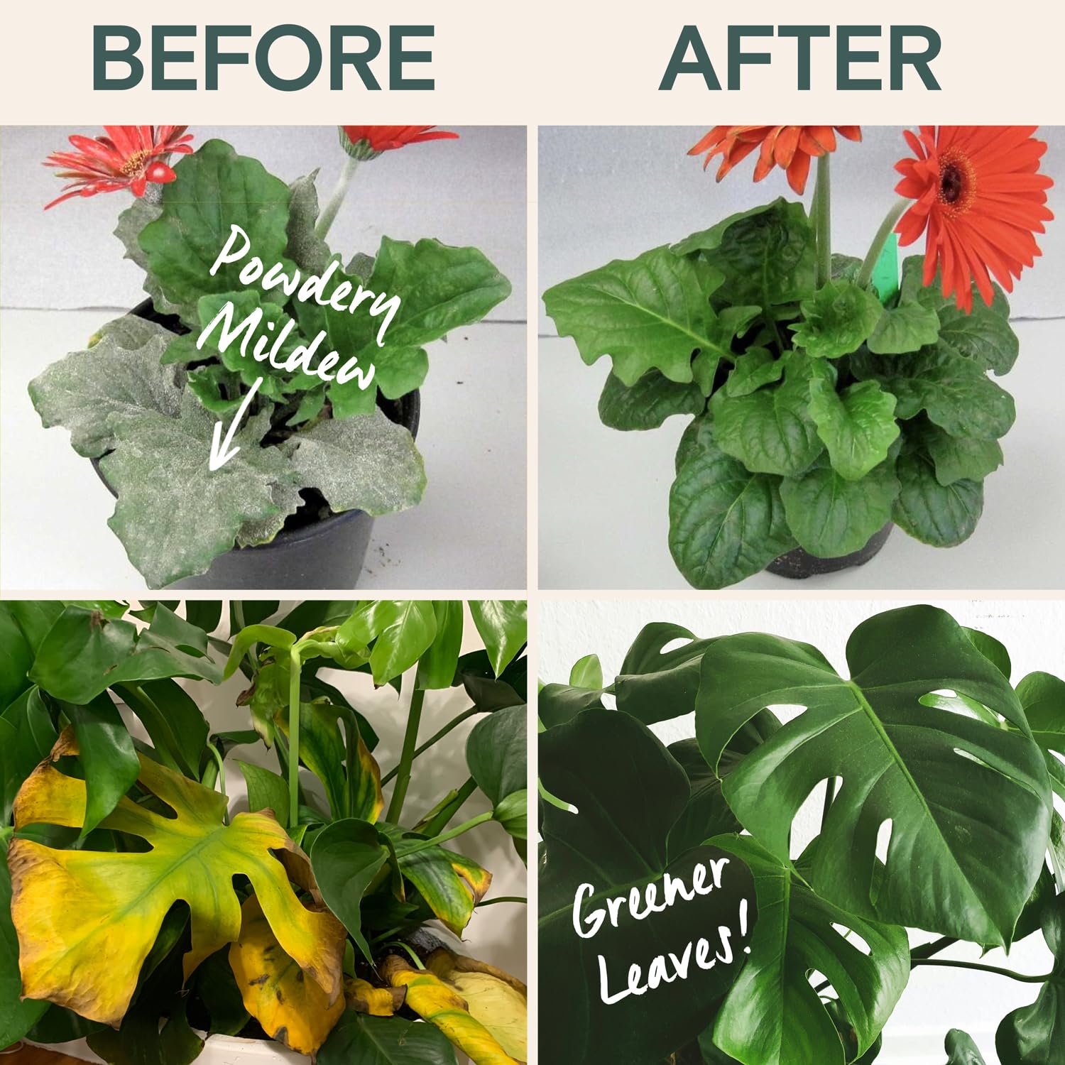 ARBER Organic Plant Food with various plants