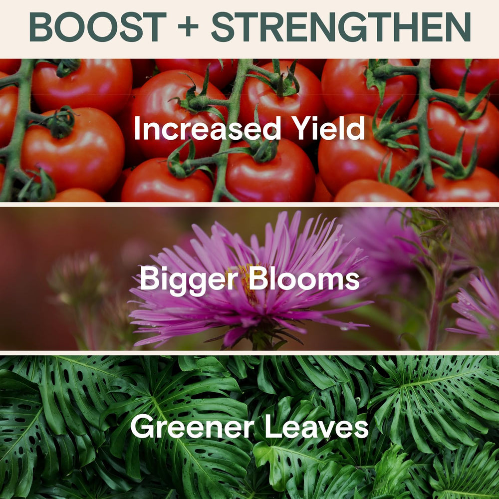 ARBER Organic Plant Fungicide mixed spray in garden sprayer