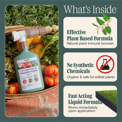 ARBER Organic Tomato & Vegetable Fungicide RTS 16 oz back view with usage instructions