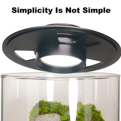 AREPK Glass Terrarium top view with adjustable light