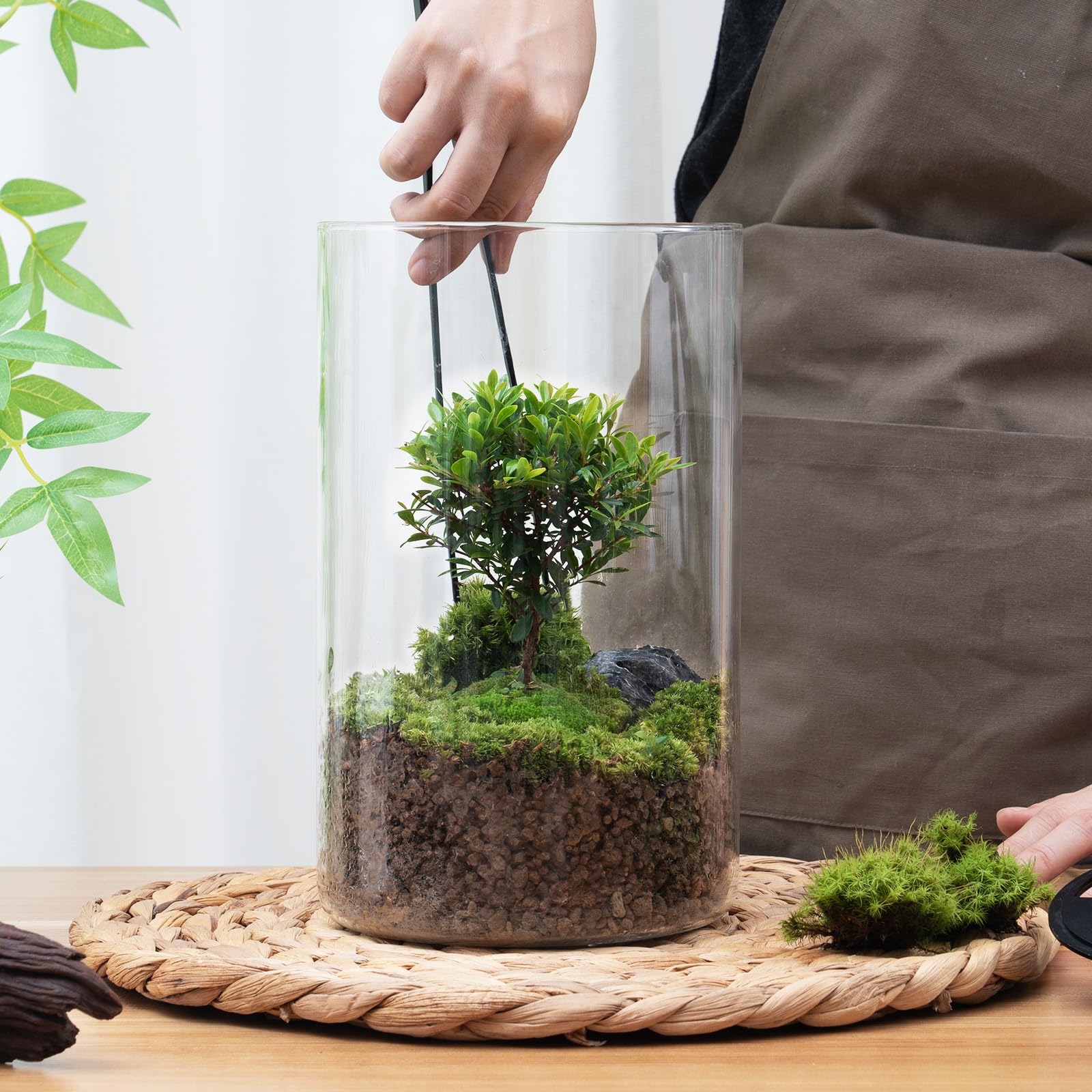AREPK Glass Terrarium with light on showcasing plants
