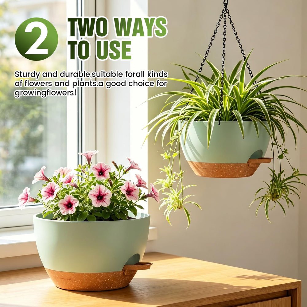 Areutxbis 10 Inch planter with chains and saucer included