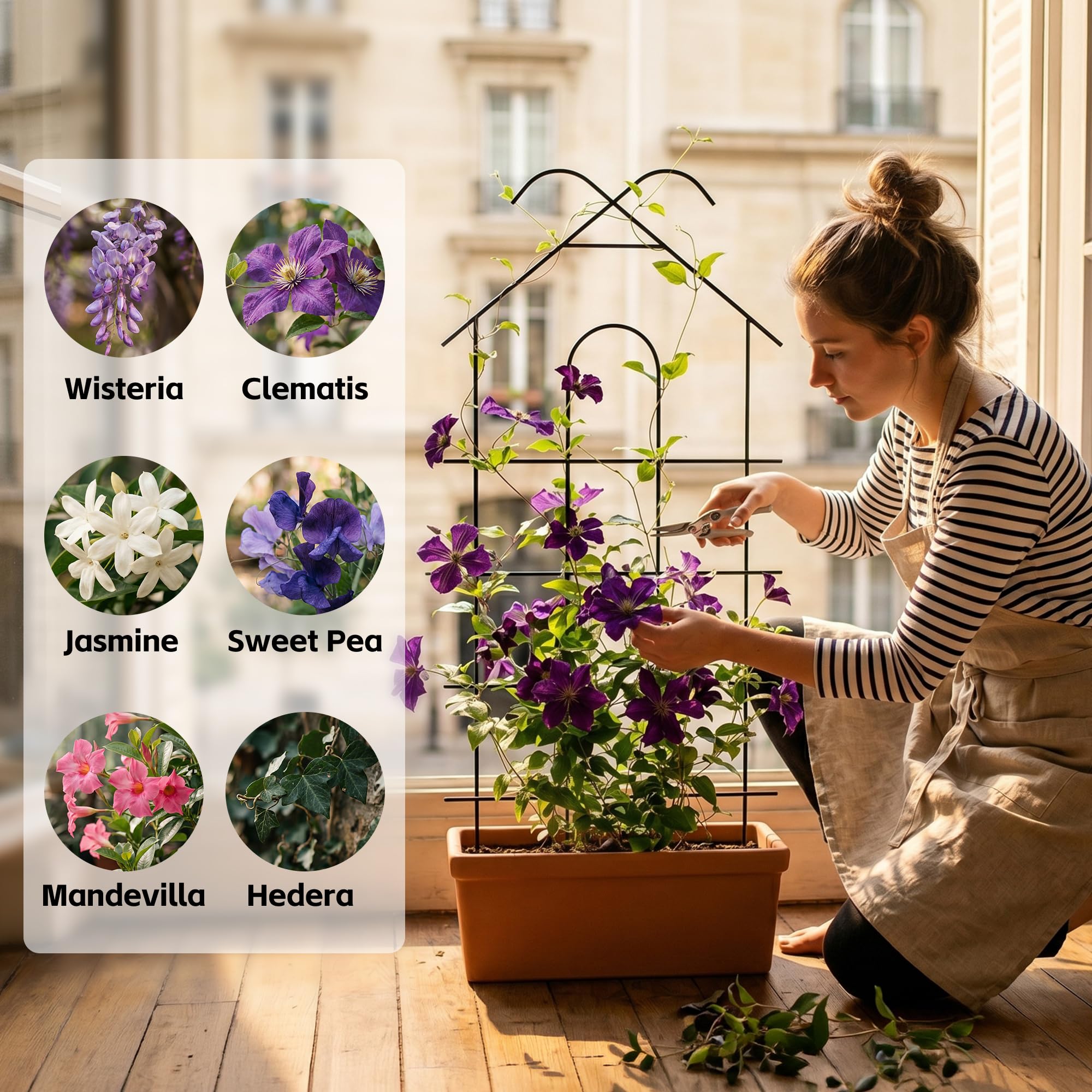 ARIFARO garden trellis in use with climbing plants