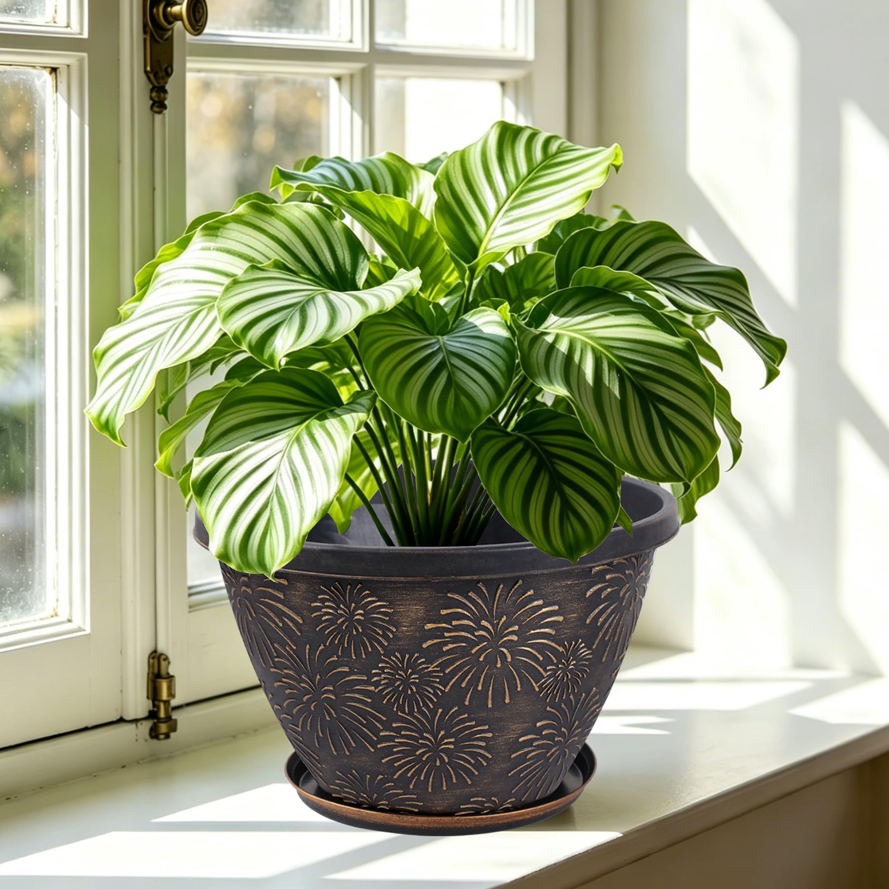 Array of Nooulap plant pots in various colours