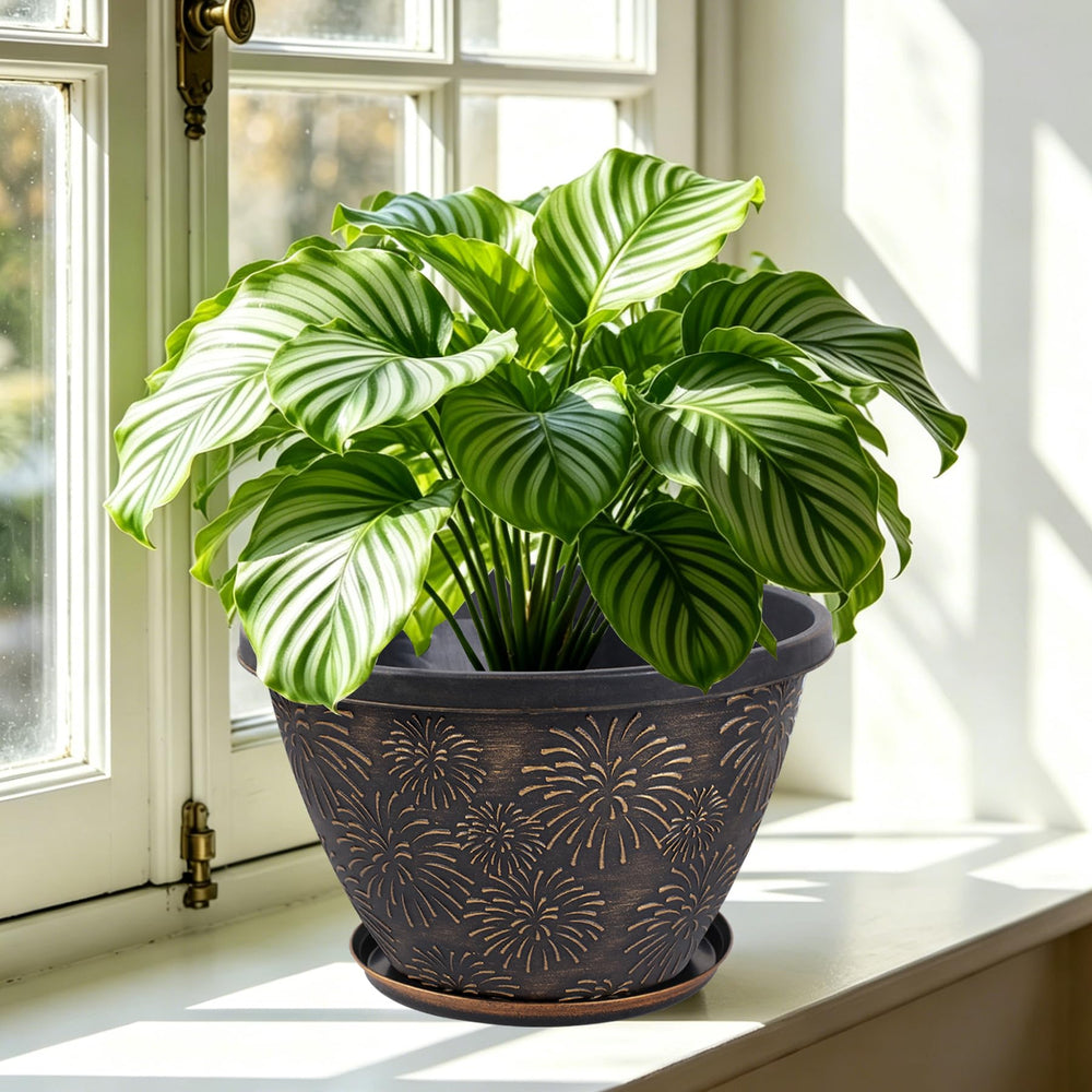 Array of Nooulap plant pots in various colours