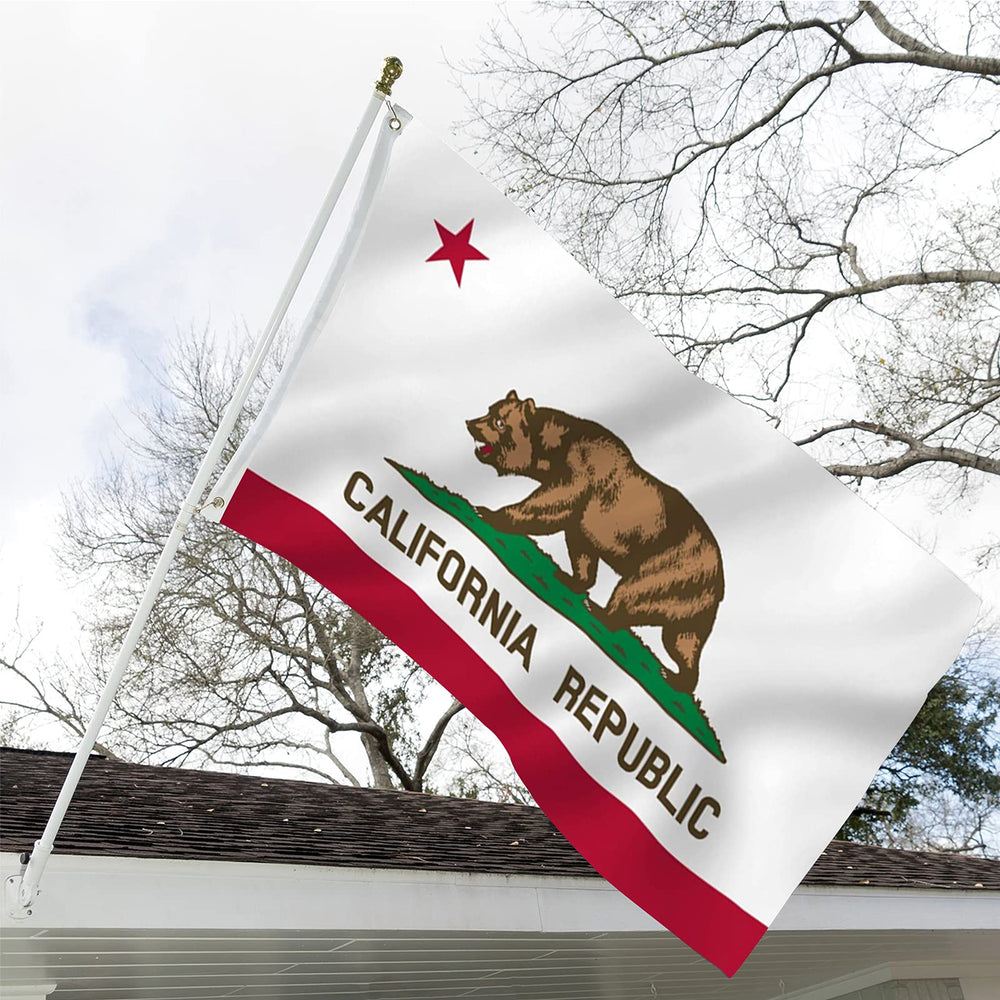 ARSOF California flag with vibrant bear design