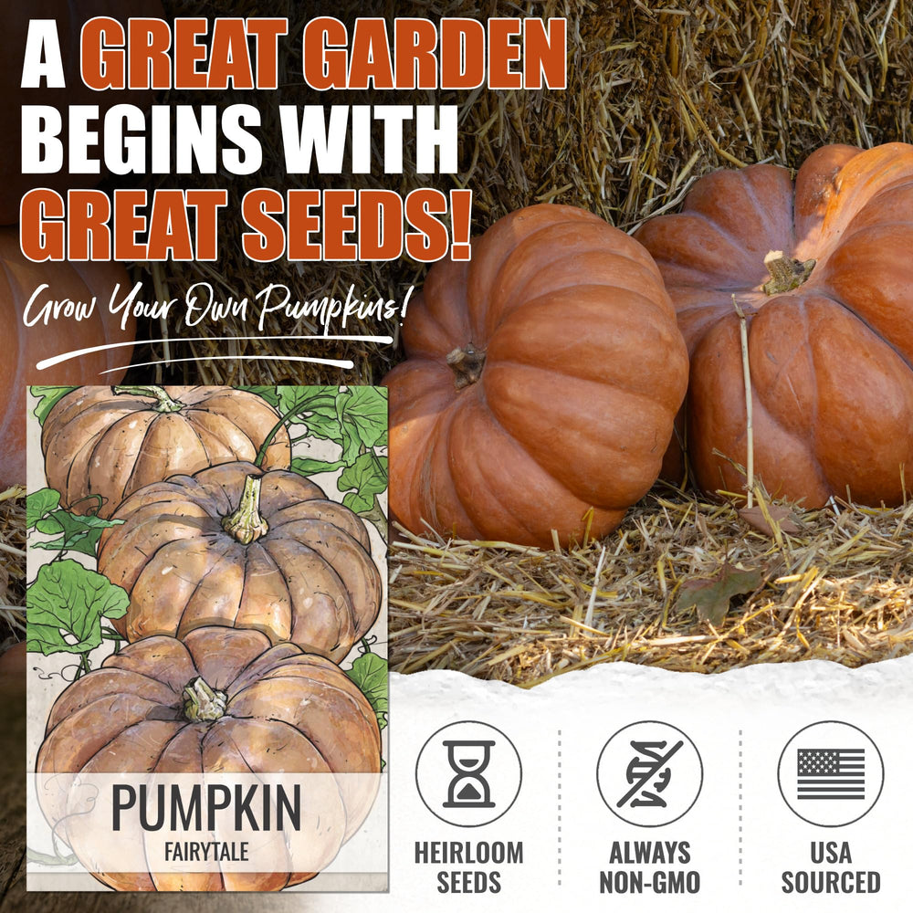 Artful illustration of Fairytale Pumpkins on seed packet