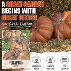 Artful illustration of Fairytale Pumpkins on seed packet