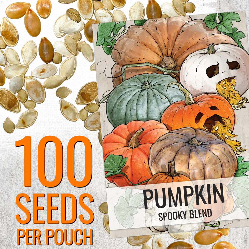 Artful illustration on Seed Needs pumpkin seeds pouch