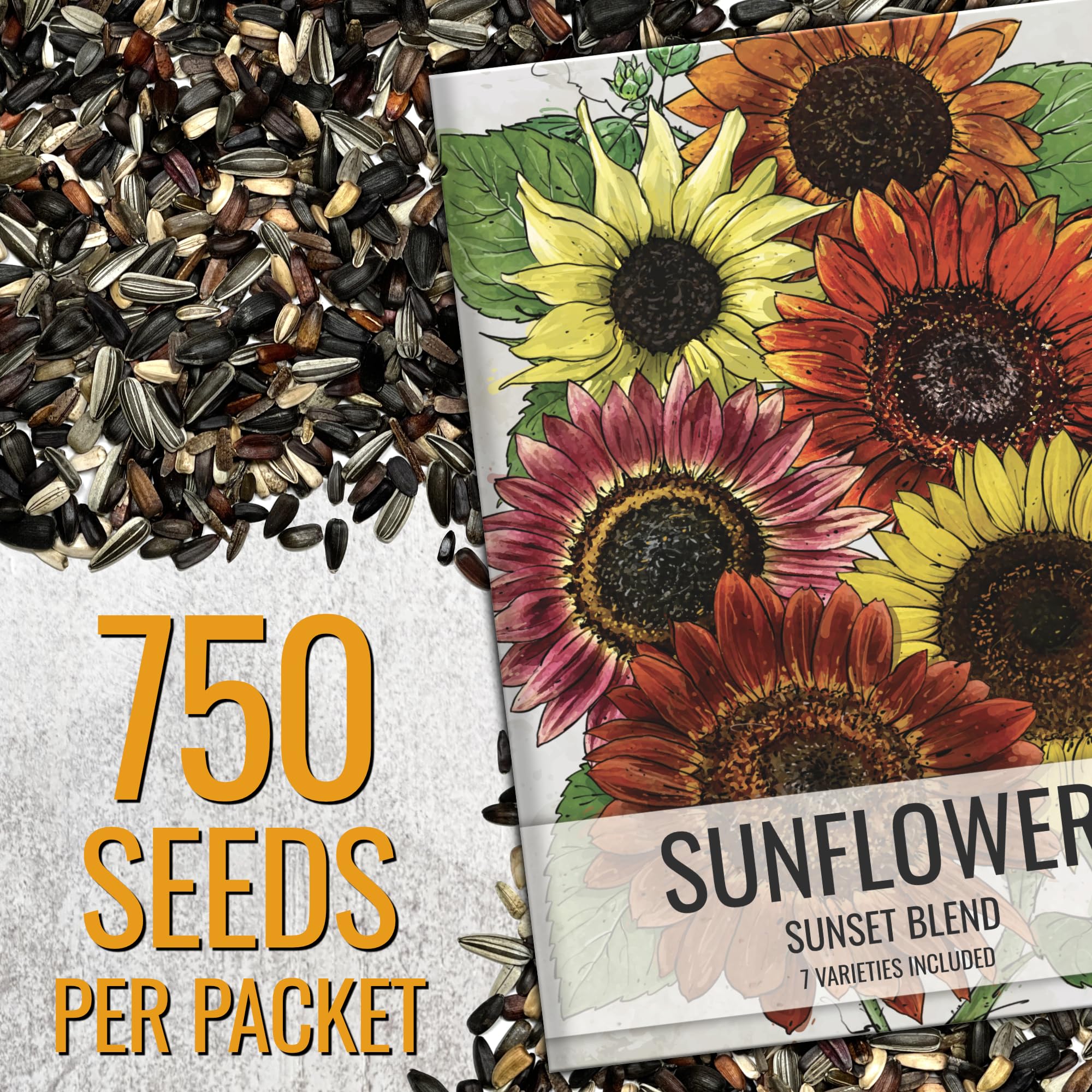Artful illustration on Seed Needs sunflower seed packet