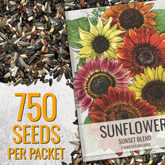 Artful illustration on Seed Needs sunflower seed packet
