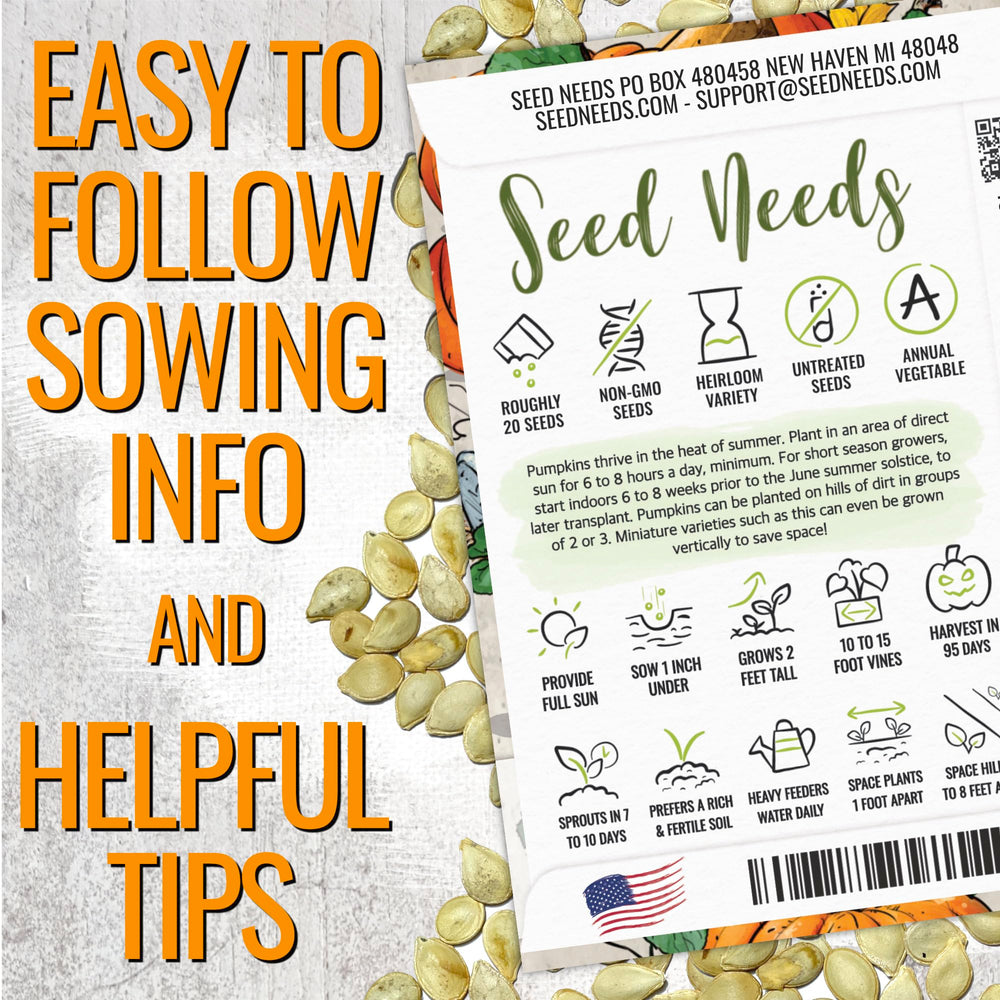 Artistic illustration on Seed Needs seed packet