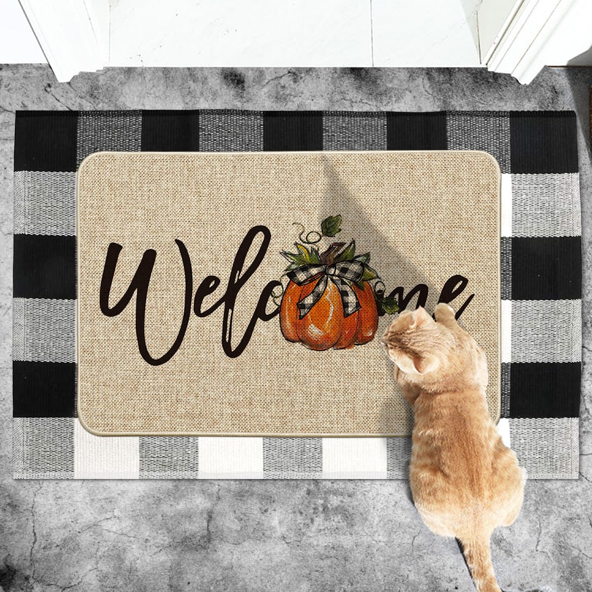 Artoid Mode Doormat in an entryway setting