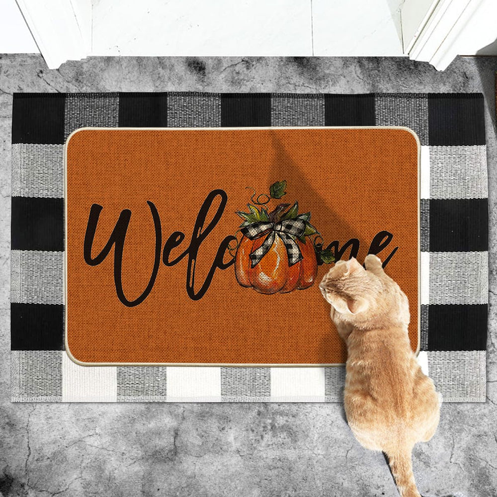 Artoid Mode doormat placed at a home's entryway