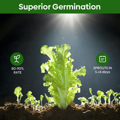 Arugula seeds from Groundio in packet