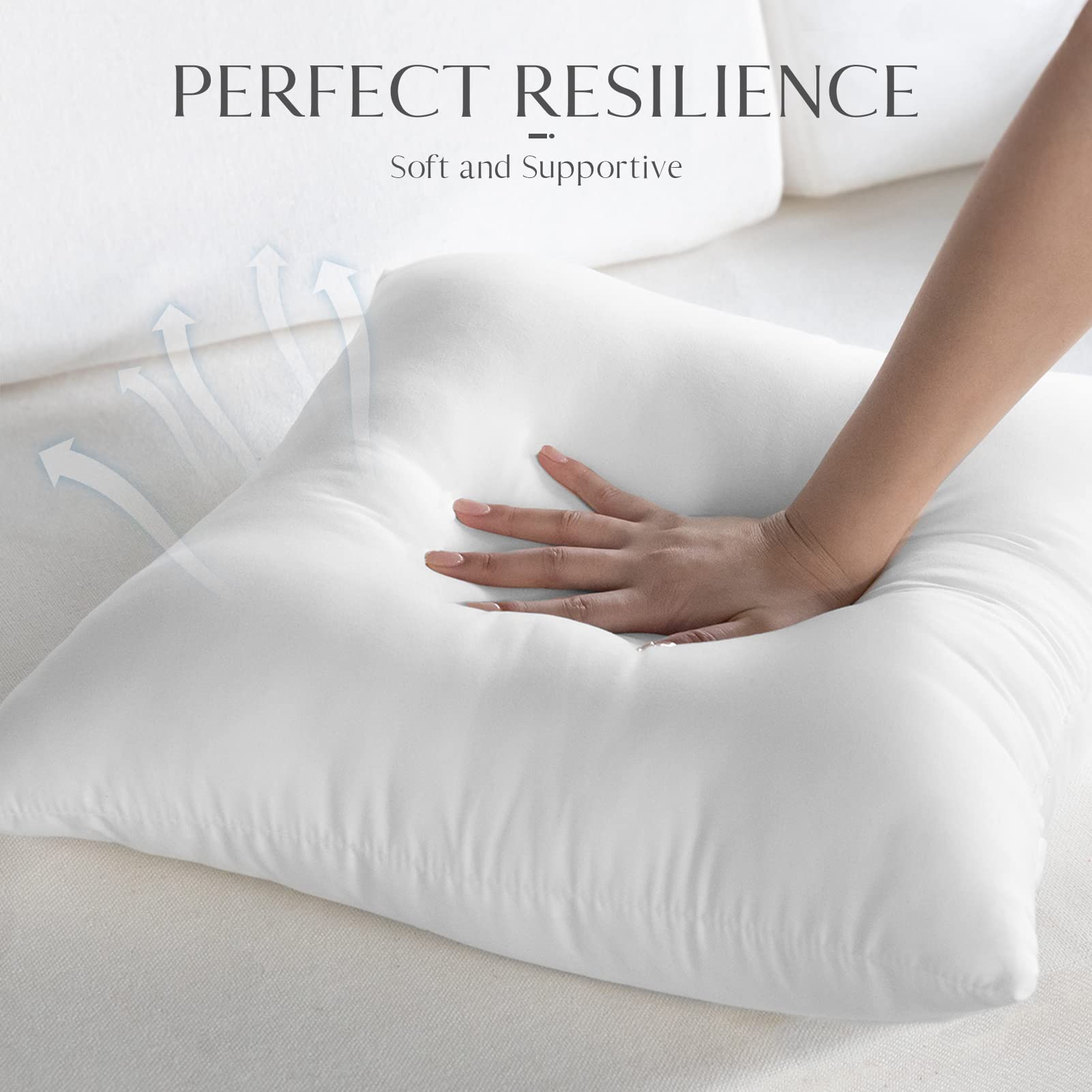 Ashler Home Deco 20x20 outdoor pillow insert pack of 4