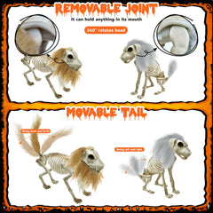 Askill Halloween skeleton bundle with cape and rope
