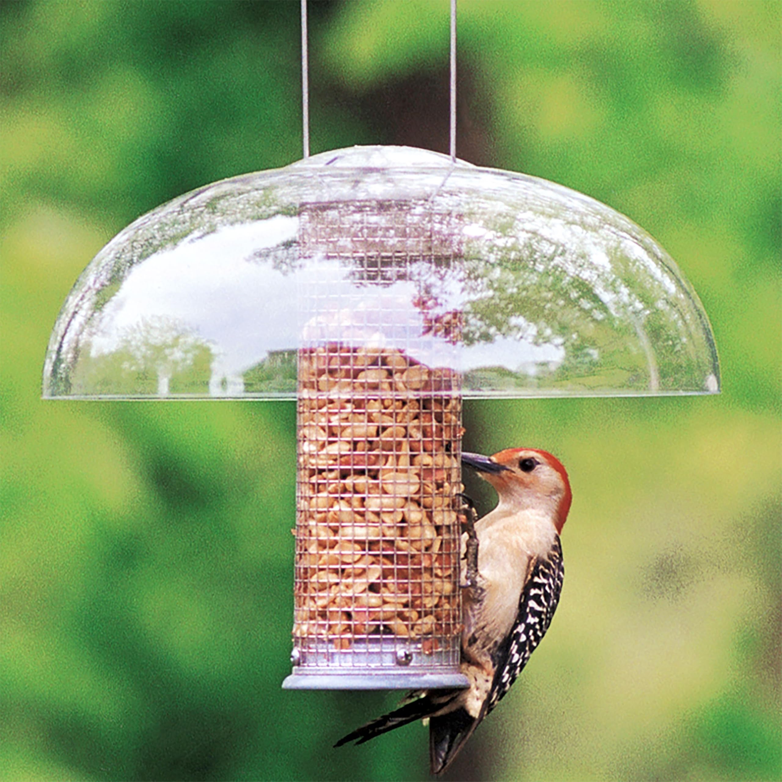 Aspects 281 Tube Top Weather Dome showing its size next to a feeder