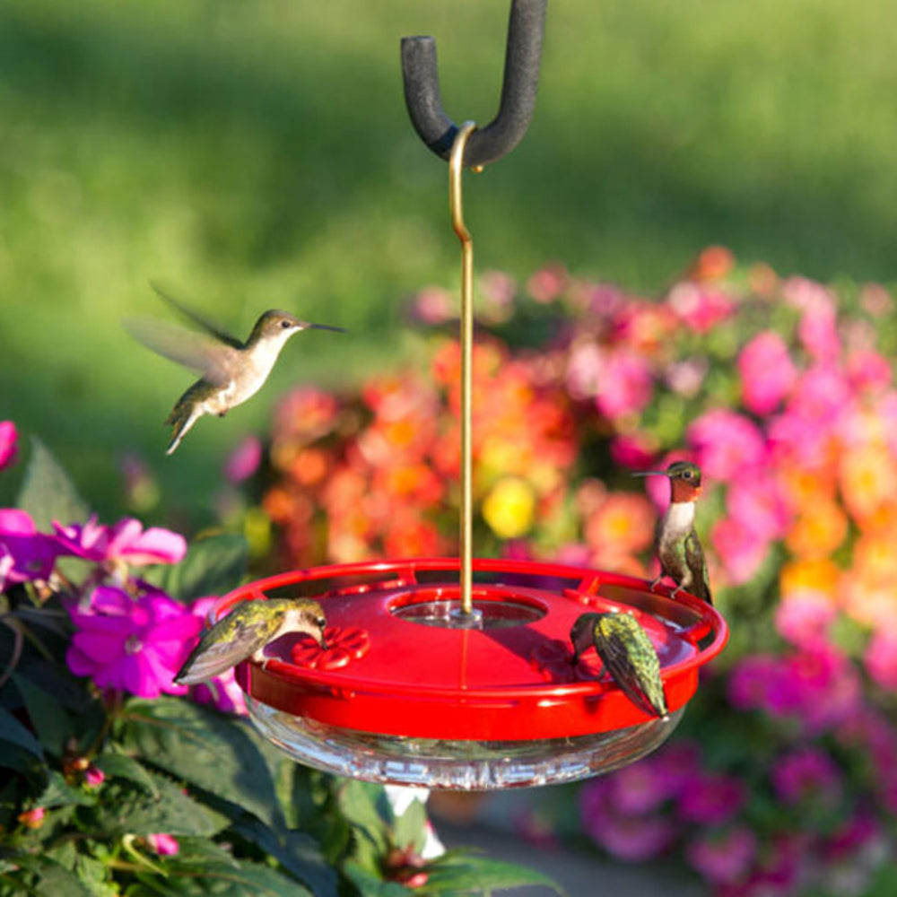 Aspects HummZinger feeder in a garden setting
