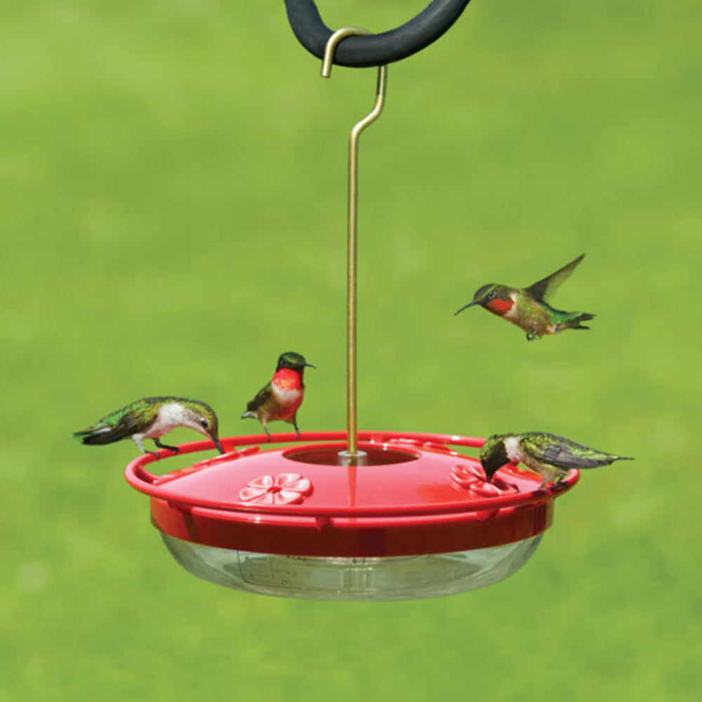 Aspects HummZinger HighView feeder showing four feeding ports