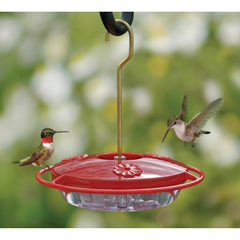 Aspects Mini Hummzinger Hummingbird Feeder with raised flowers and ant moat