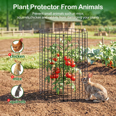 Assembled YHLYUZZ plant cage around a young plant
