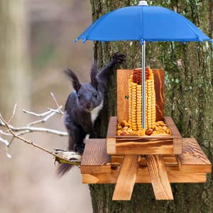 Assembly instructions included with the squirrel feeder