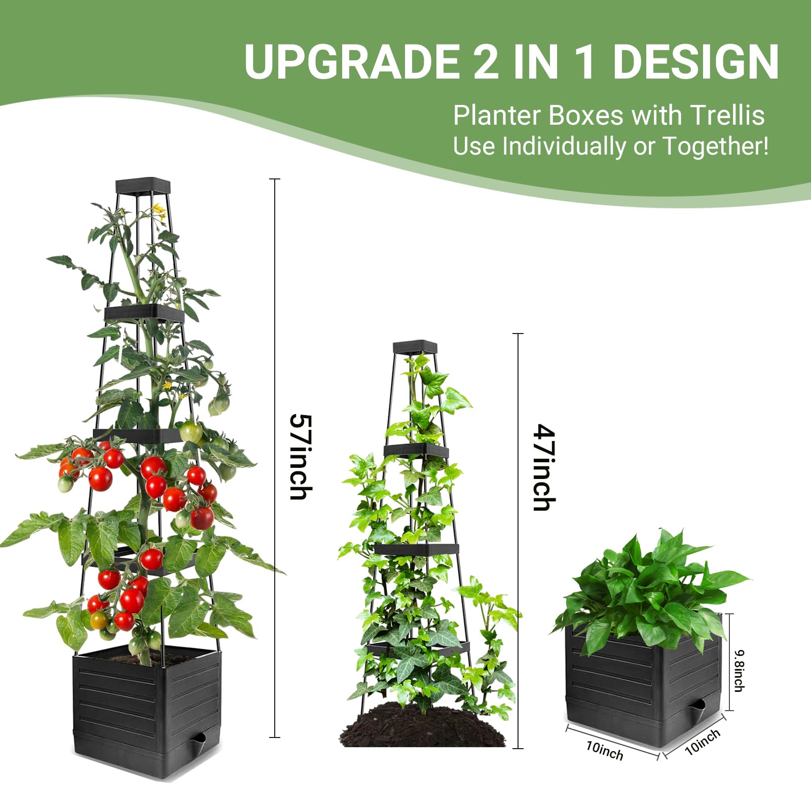 Assembly process of BOTINDO Tomato Planter