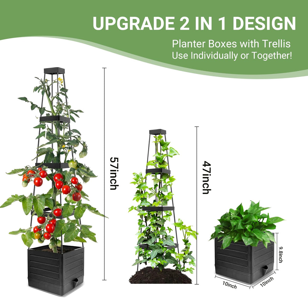 Assembly process of BOTINDO Tomato Planter
