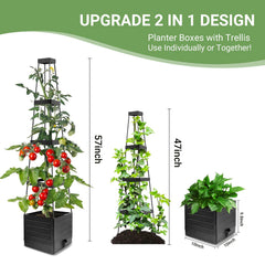 Assembly process of BOTINDO Tomato Planter
