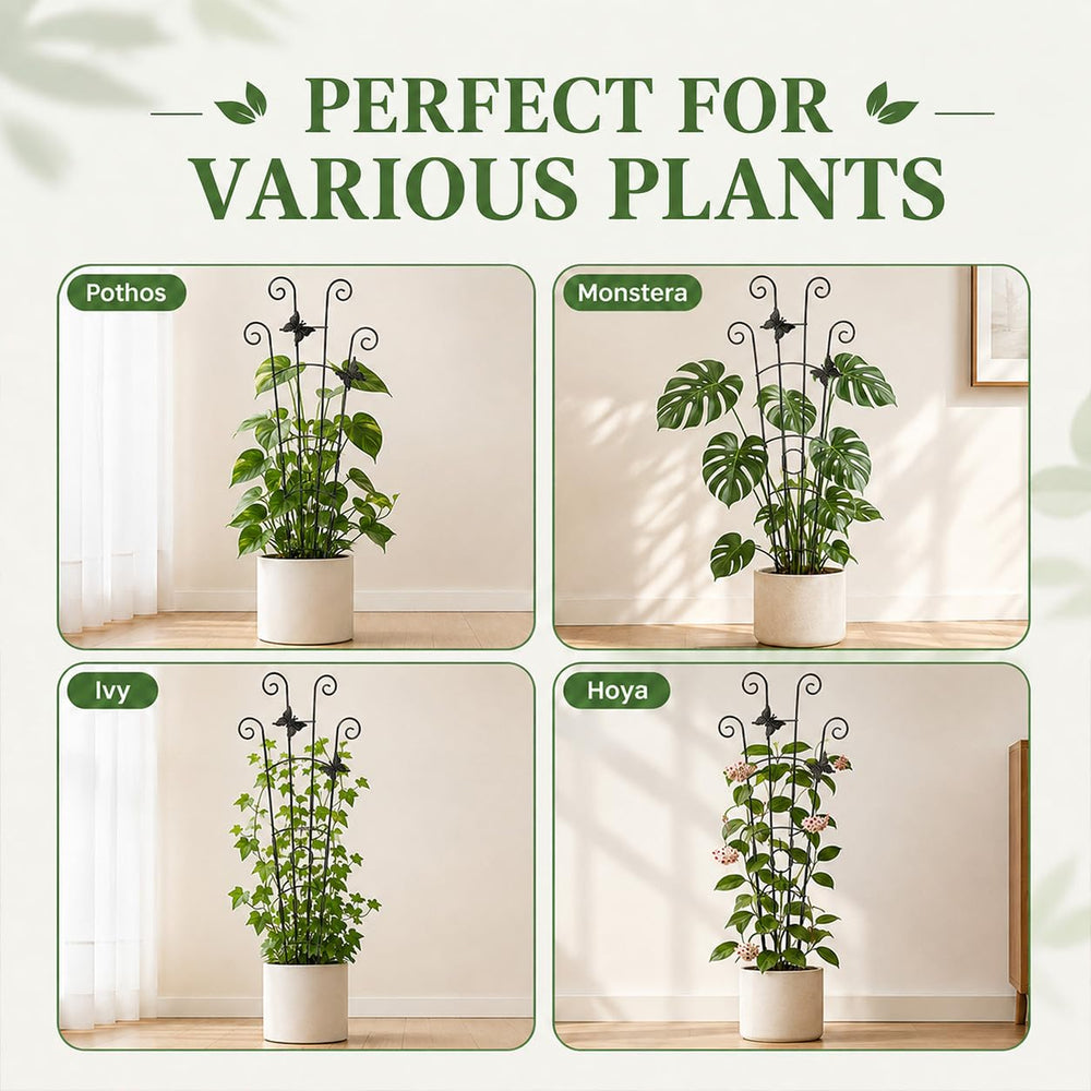 Assembly process of Xeeol plant trellis with no tools required