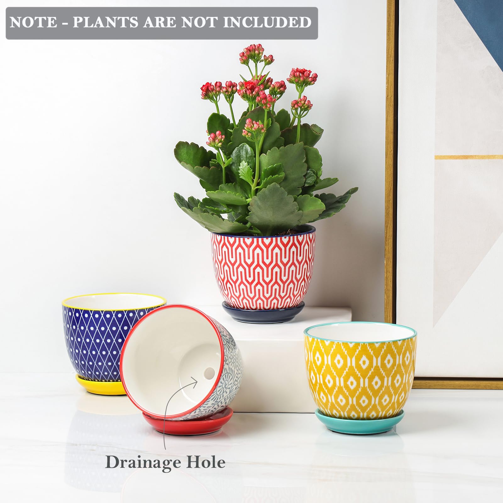 Assorted colors of Selamica ceramic plant pots on a shelf
