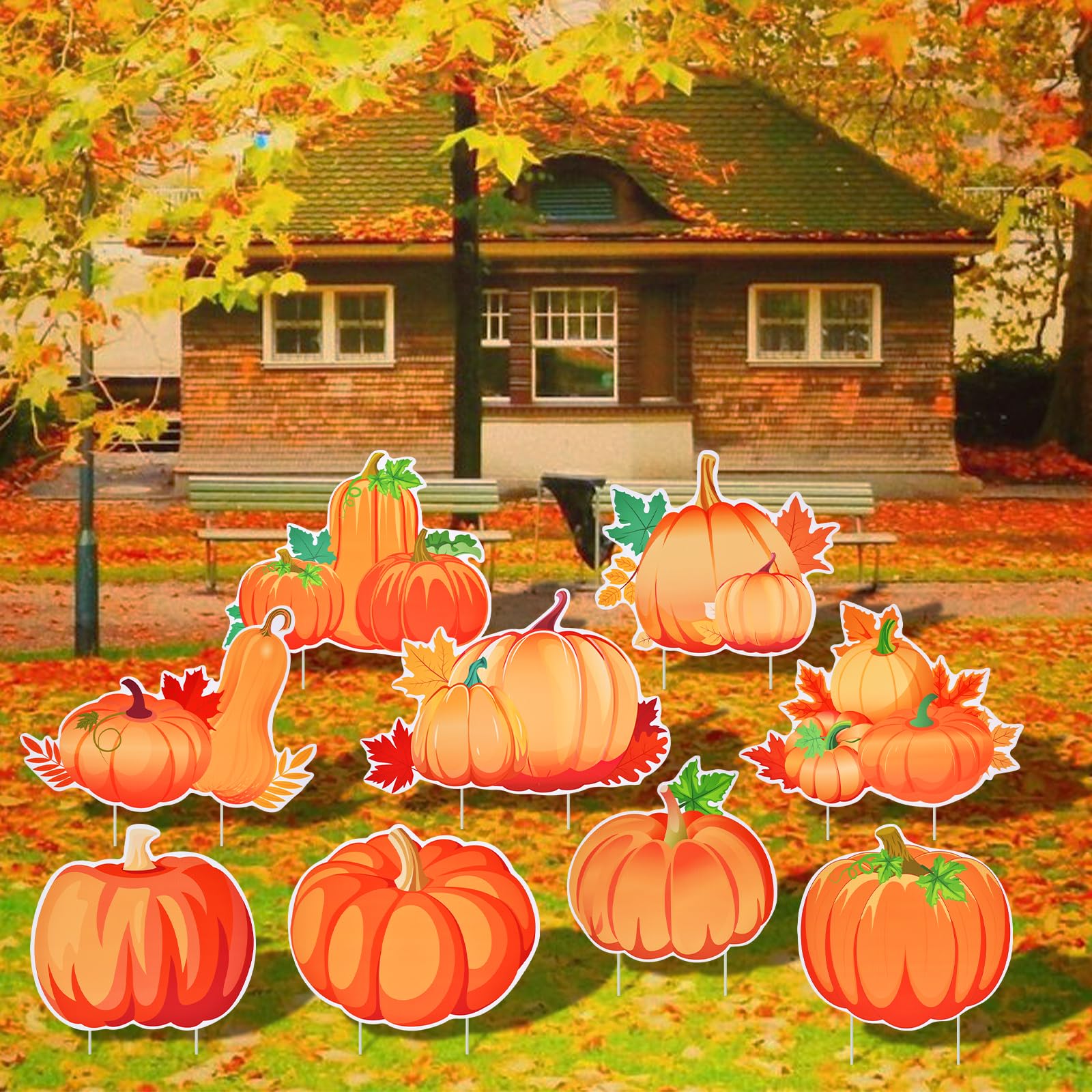 Assorted designs of pumpkin yard signs in festive setting