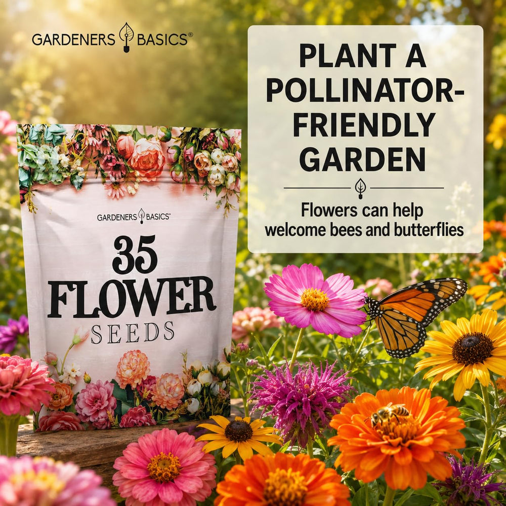 Assorted flower seeds including marigolds and sunflowers