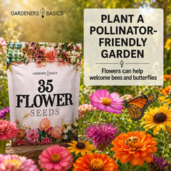 Assorted flower seeds including marigolds and sunflowers