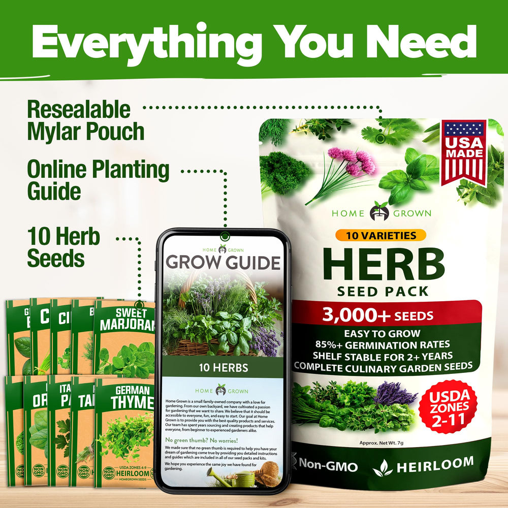 Assorted herbs growing in pots from HOME GROWN