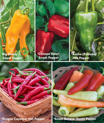 Assorted peppers growing in a garden
