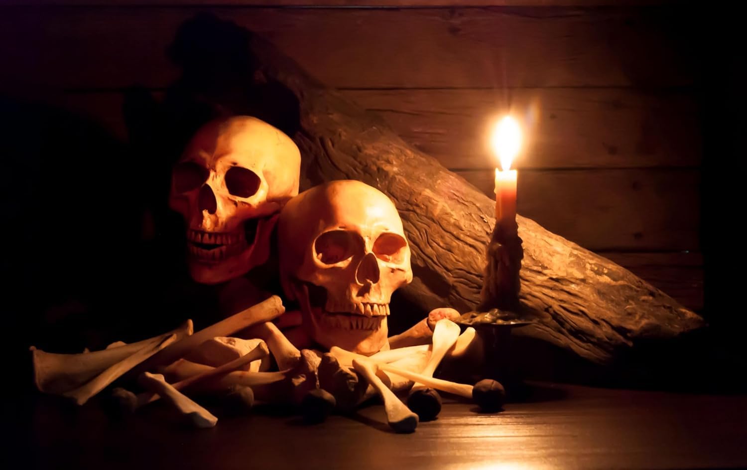 Assorted skeleton bones including hands and feet for Halloween decor