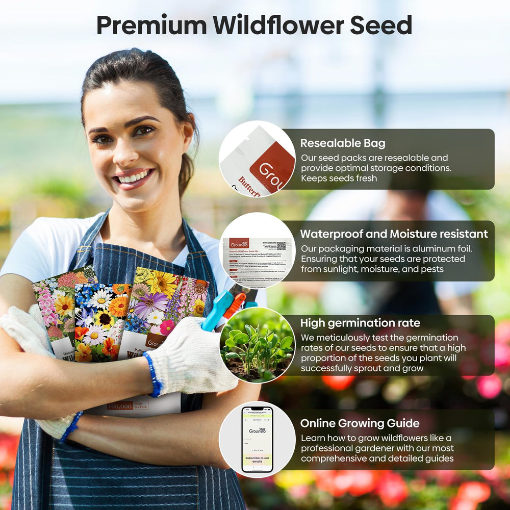 Assorted wildflowers blooming in a garden from Groundio seeds