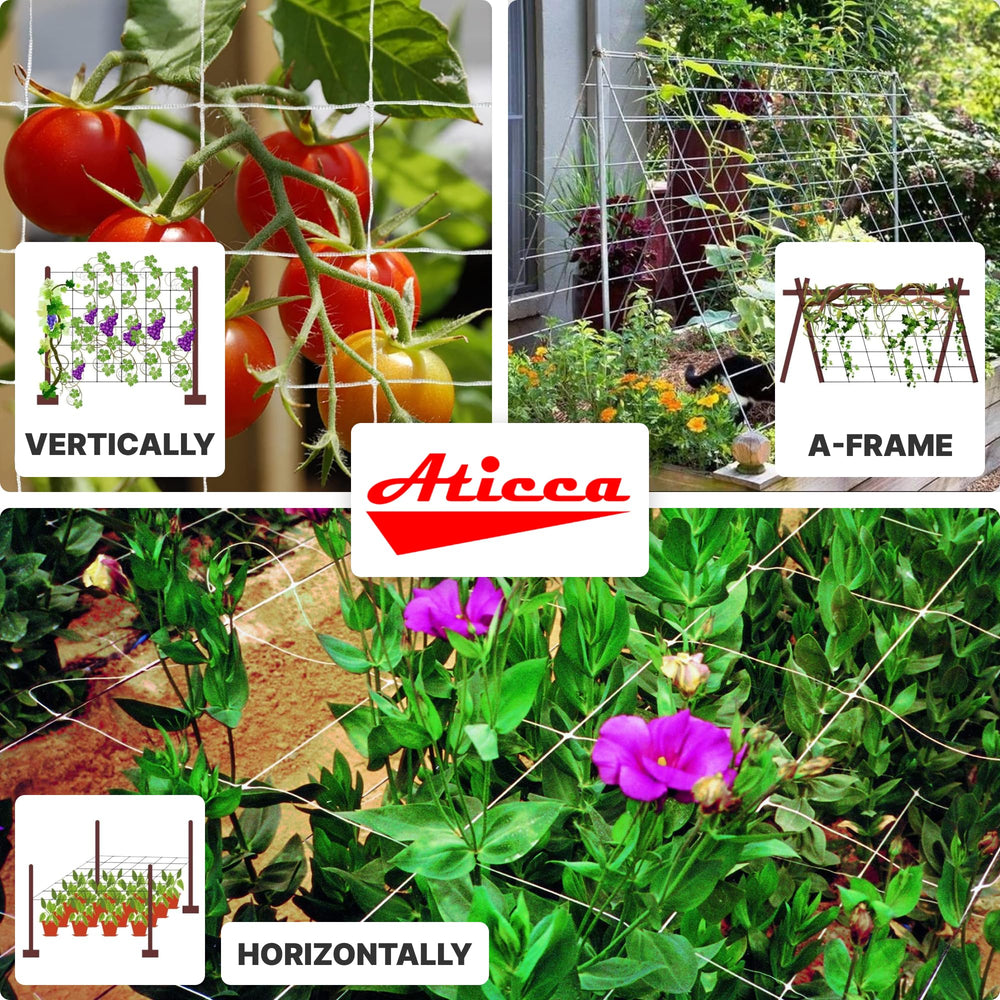 Aticca trellis netting supporting climbing plants in garden