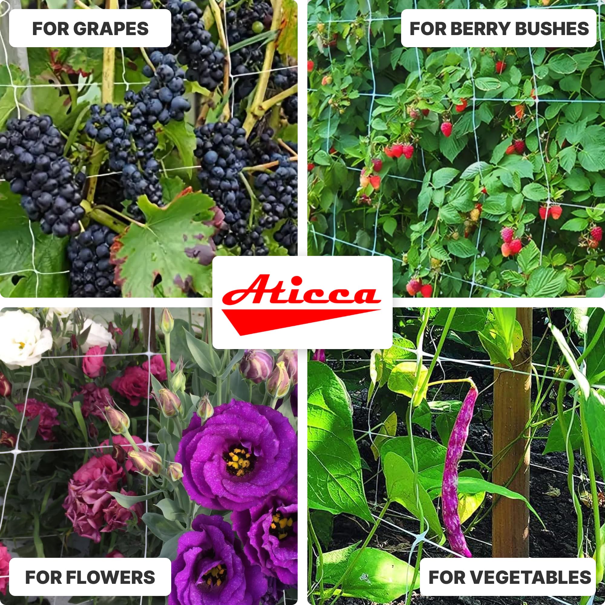 Aticca trellis netting used as a protective barrier for chickens