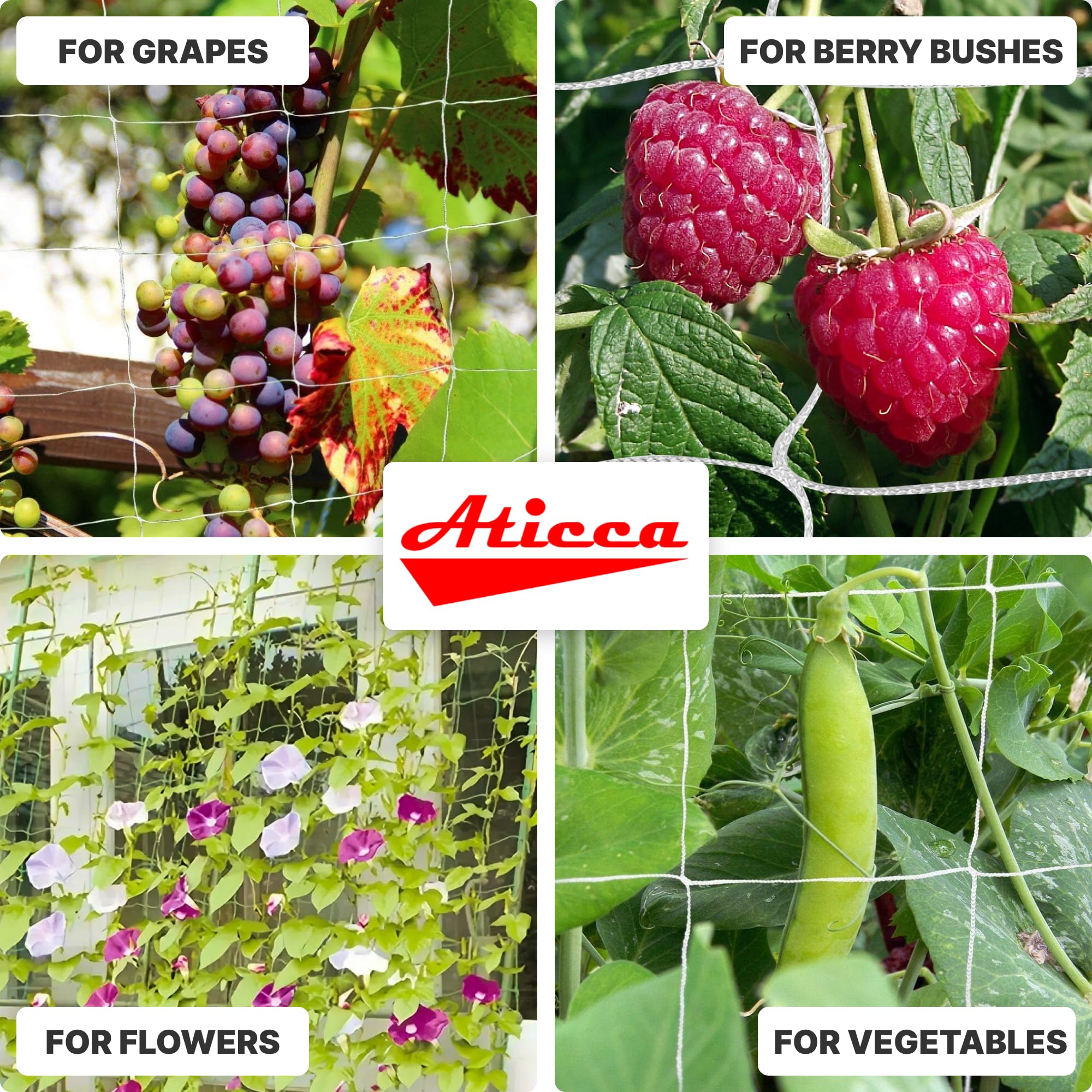 Aticca trellis netting used for protecting garden area