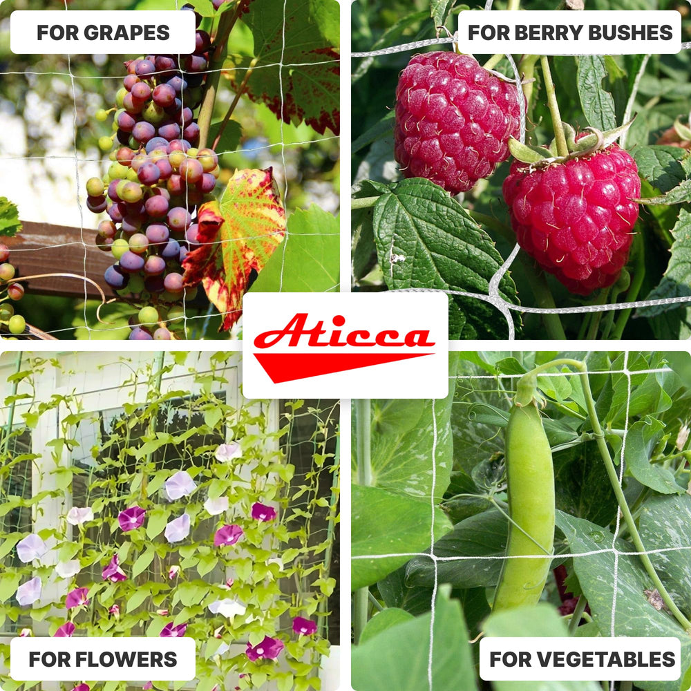 Aticca trellis netting used for protecting garden area