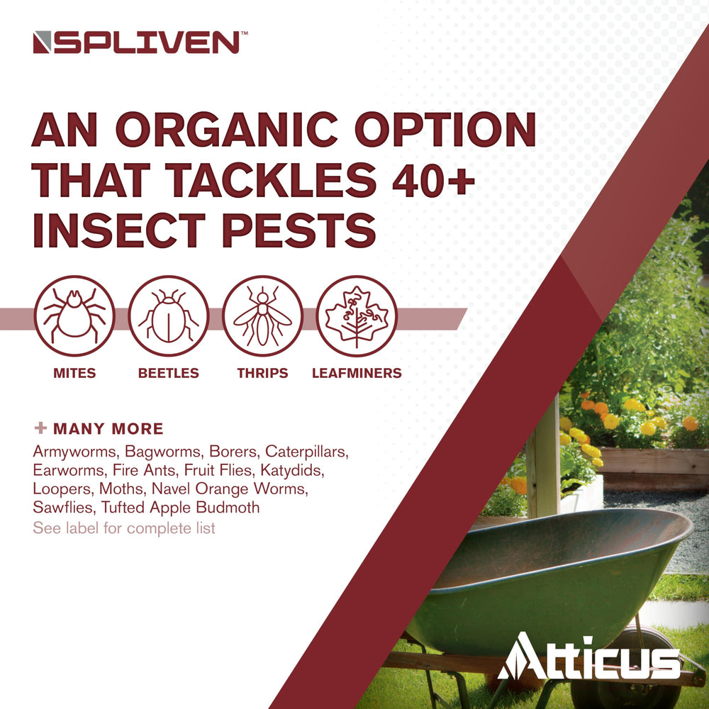 Atticus Spliven Insecticide bottle on a garden table